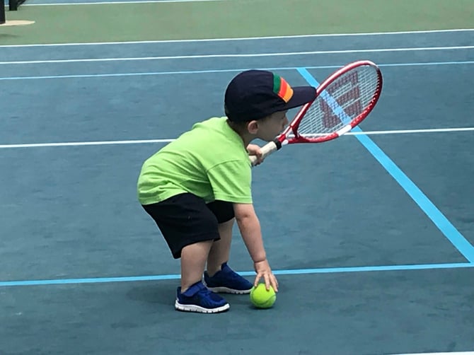 Fun Activities and Events at Mesa Parks